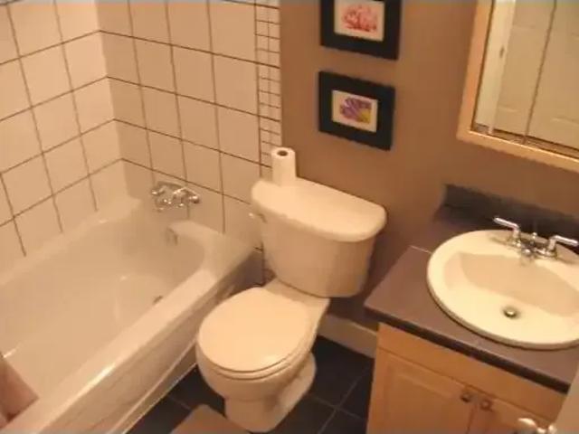 Apartment 1 Bedroom For Rent Calgary AB 1350 ES104681632