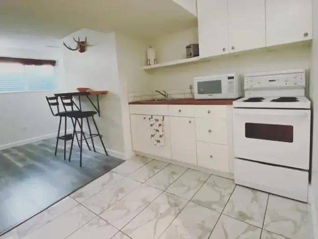 Apartment 1 Bedroom For Rent Calgary AB 1300 ES103739949