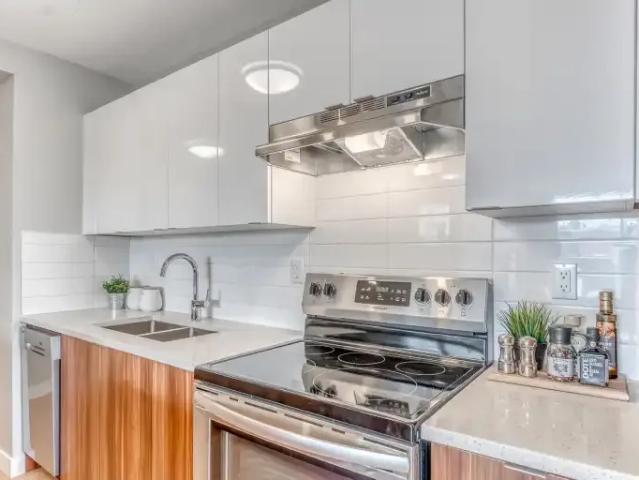 Apartment 1 Bedroom For Rent Calgary AB 1444 ES103652735