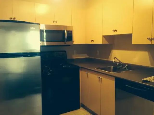 Apartment 1 Bedroom For Rent Calgary AB 1450 ES104940746