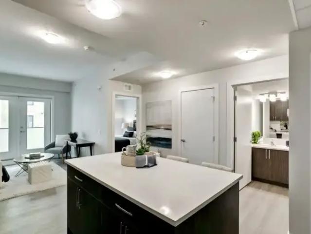 Apartment 1 Bedroom For Rent Calgary AB 1450 ES105674608