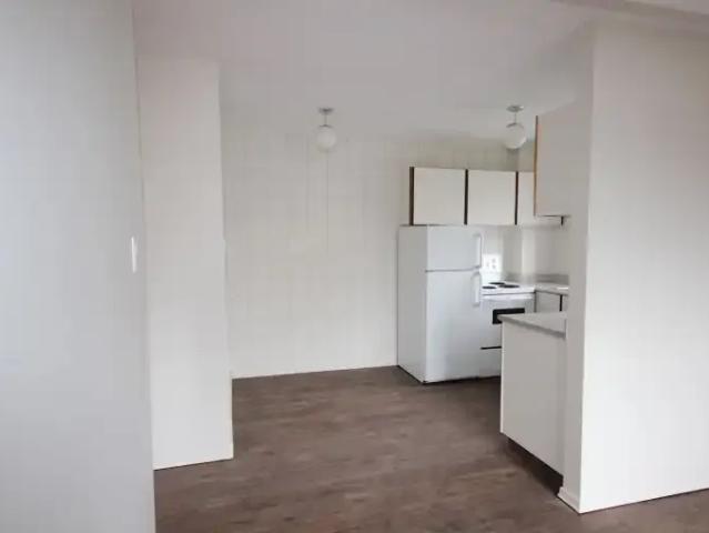 Apartment 1 Bedroom For Rent Calgary AB 1495 ES105525950