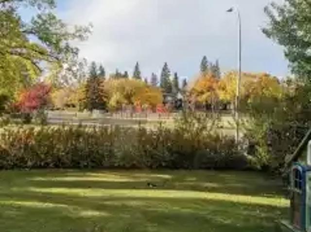 Apartment 1 Bedroom For Rent Calgary AB 1499 ES104753915