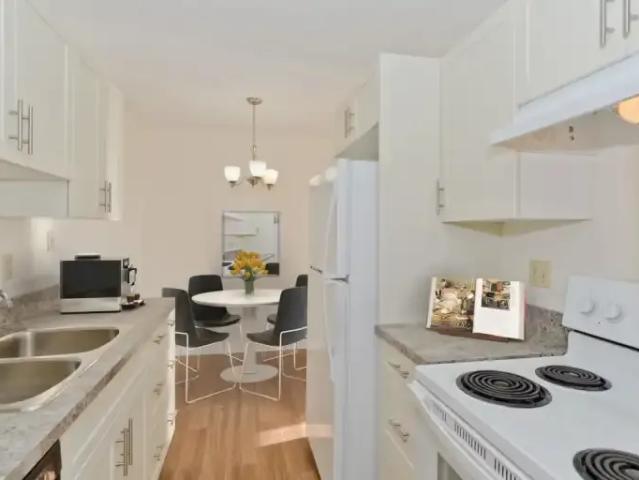 Apartment 1 Bedroom For Rent Calgary AB 1499 ES105185218