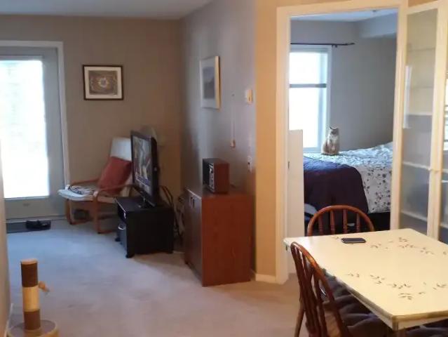 Apartment 1 Bedroom For Rent Calgary AB 1550 ES104179668