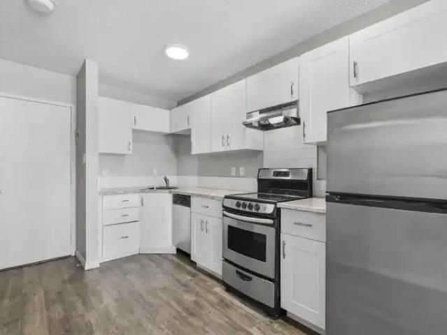 Apartment 1 Bedroom For Rent Calgary AB 1500 ELS103379882