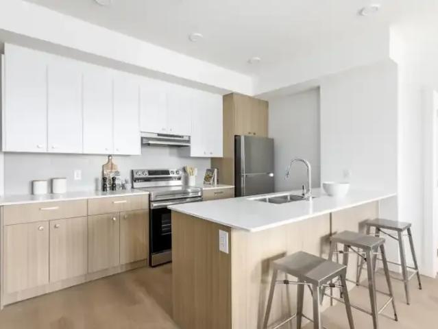 Apartment 1 Bedroom For Rent Calgary AB 1535 ES103739937