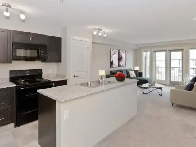 Apartment 1 Bedroom For Rent Calgary AB 1649 ES104782207