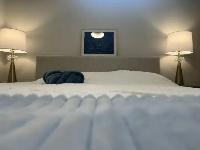 Apartment 1 Bedroom For Rent Calgary AB 1600 ES104181530