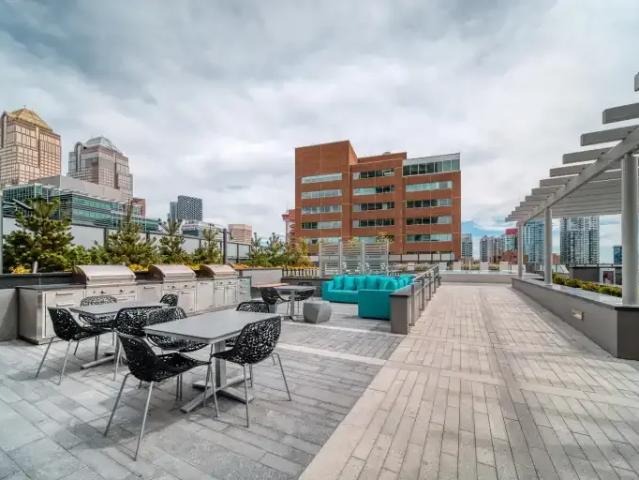Apartment 1 Bedroom For Rent Calgary AB 2175 ES104400723