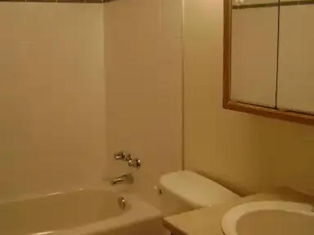 Apartment 1 Bedroom For Rent Calgary AB 480 ES105100822