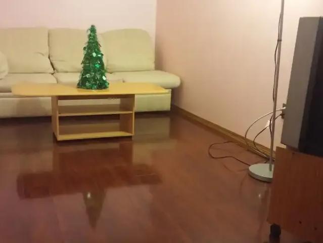 Apartment 1 Bedroom For Rent Calgary AB 700 ES104362594