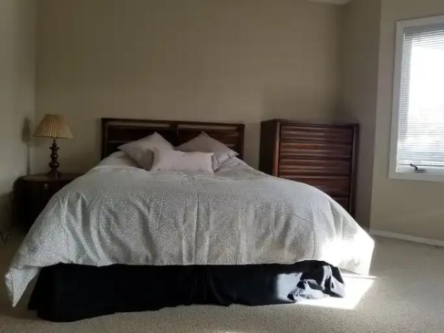 Apartment 1 Bedroom For Rent Calgary AB 800 ES105118849