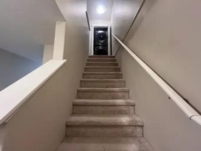 Apartment 1 Bedroom For Rent Calgary AB 850 ES104179048