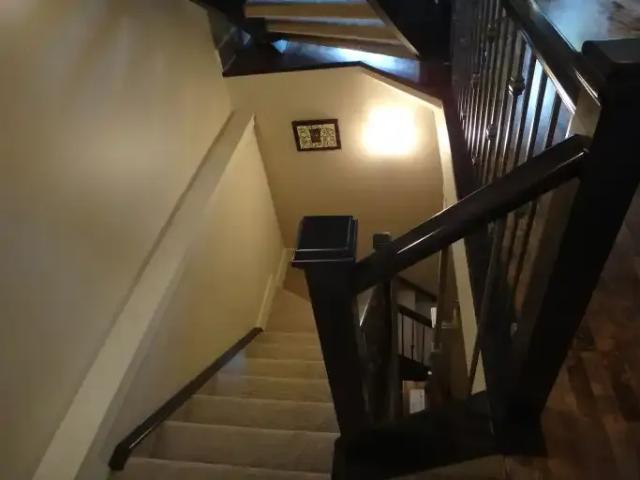 Apartment 1 Bedroom For Rent Calgary AB 875 ES104067082