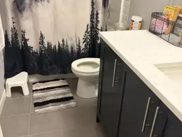 Apartment 1 Bedroom For Rent Calgary AB 900 ES104362554