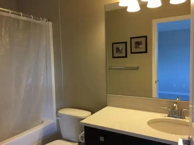 Apartment 1 Bedroom For Rent Calgary AB 925 ES104179651