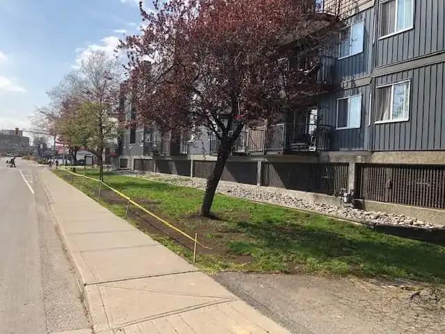 Apartment 1 Bedroom For Rent Chilliwack BC 1395 ES103694474
