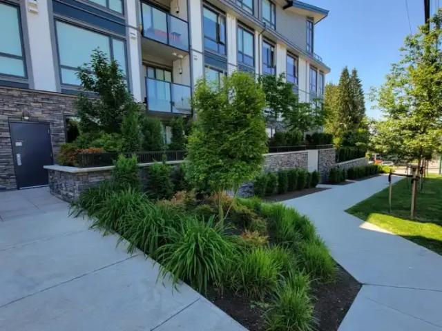 Apartment 1 Bedroom For Rent Coquitlam BC 1920 ES104840646
