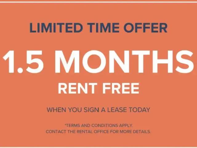Apartment 1 Bedroom For Rent Cote Saint Luc QC 1295 ES96247751