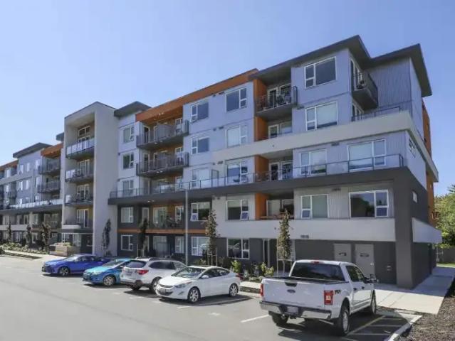 Apartment 1 Bedroom For Rent Courtenay BC 1925 ES105466560