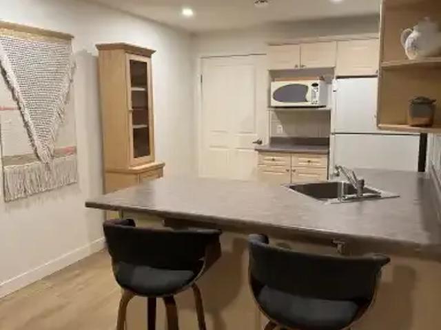 Apartment 1 Bedroom For Rent Edmonton AB 1400 ES104940718