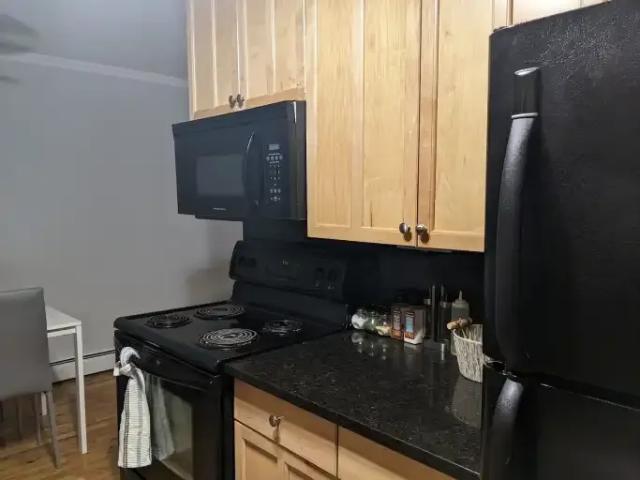 Apartment 1 Bedroom For Rent Edmonton AB 1425 ES105166829