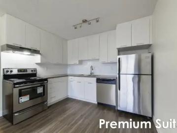 Apartment 1 Bedroom For Rent Edmonton AB 1449 ES98331648