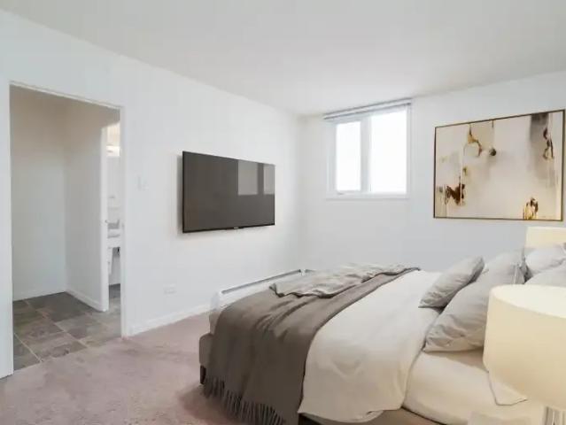 Apartment 1 Bedroom For Rent Edmonton AB 1450 ELS102468307