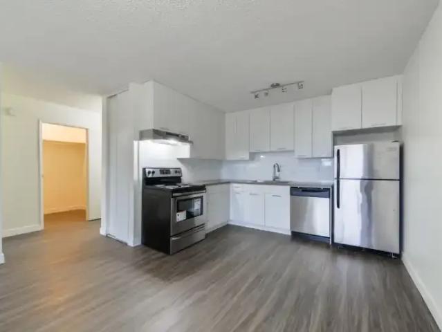 Apartment 1 Bedroom For Rent Edmonton AB 1469 ES105268030