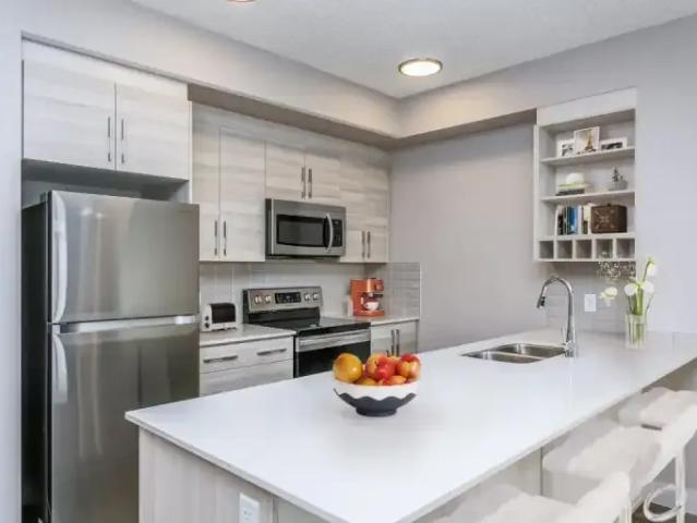 Apartment 1 Bedroom For Rent Edmonton AB 1600 ES104956935