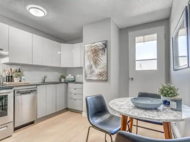 Apartment 1 Bedroom For Rent Edmonton AB 1605 ES100487272