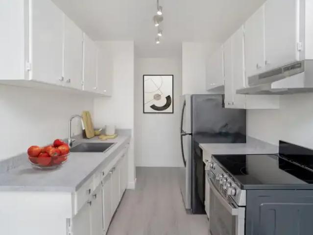 Apartment 1 Bedroom For Rent Edmonton AB 1719 ES105226342