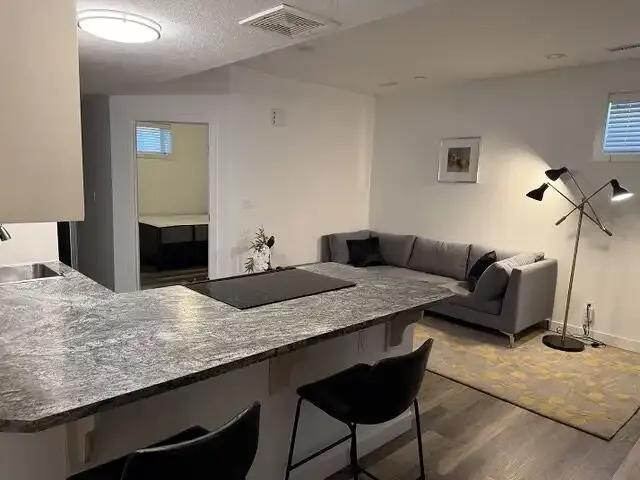 Apartment 1 Bedroom For Rent Edmonton AB 1900 ES105923597