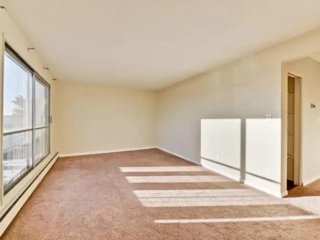Apartment 1 Bedroom For Rent Edmonton AB 1025 ES106180805