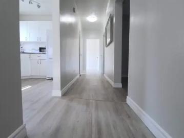 Apartment 1 Bedroom For Rent Edmonton AB 1084 ES101724188