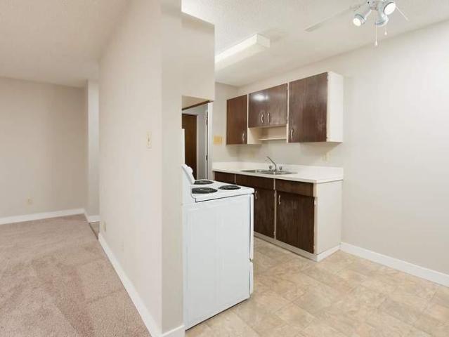 Apartment 1 Bedroom For Rent Edmonton AB 1099 ES91650766