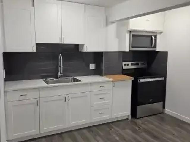 Apartment 1 Bedroom For Rent Edmonton AB 1100 ELS105150359