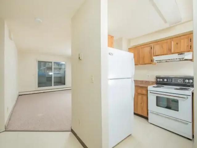 Apartment 1 Bedroom For Rent Edmonton AB 1100 ELS103919827