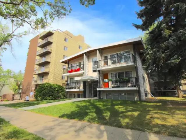 Apartment 1 Bedroom For Rent Edmonton AB 1133 ELS104840695