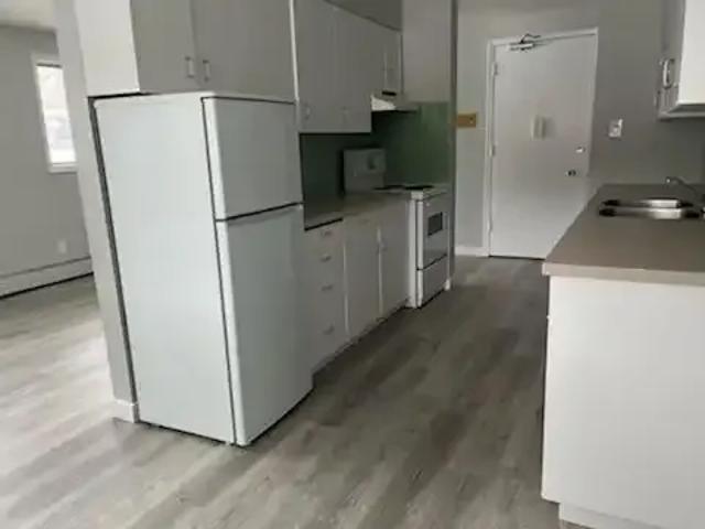 Apartment 1 Bedroom For Rent Edmonton AB 1150 ELS97630440