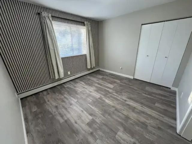 Apartment 1 Bedroom For Rent Edmonton AB 1150 ES96463266