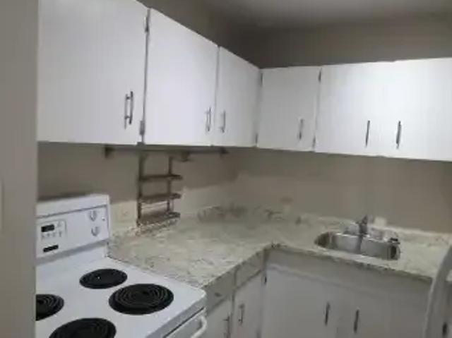 Apartment 1 Bedroom For Rent Edmonton AB 1150 ES101041316