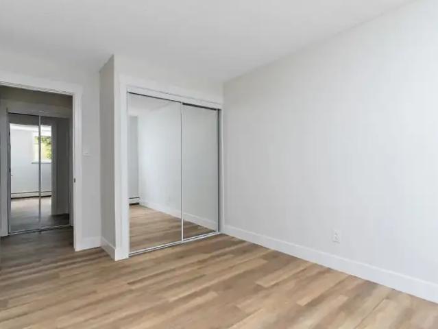 Apartment 1 Bedroom For Rent Edmonton AB 1175 ES103652049