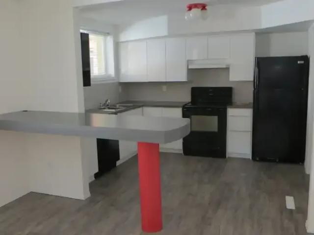 Apartment 1 Bedroom For Rent Edmonton AB 1200 ES105737982