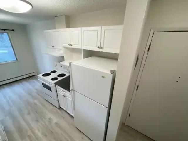 Apartment 1 Bedroom For Rent Edmonton AB 1200 ES105737030