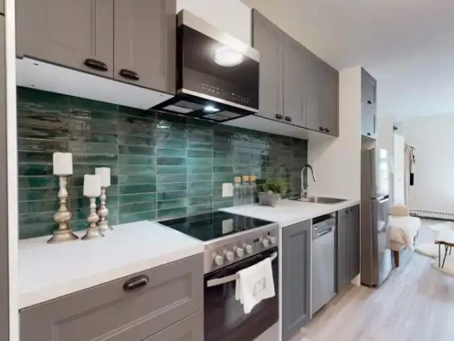 Apartment 1 Bedroom For Rent Edmonton AB 1200 ES105046993