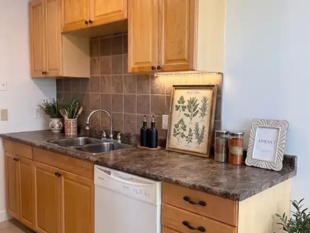 Apartment 1 Bedroom For Rent Edmonton AB 1225 ES105467017