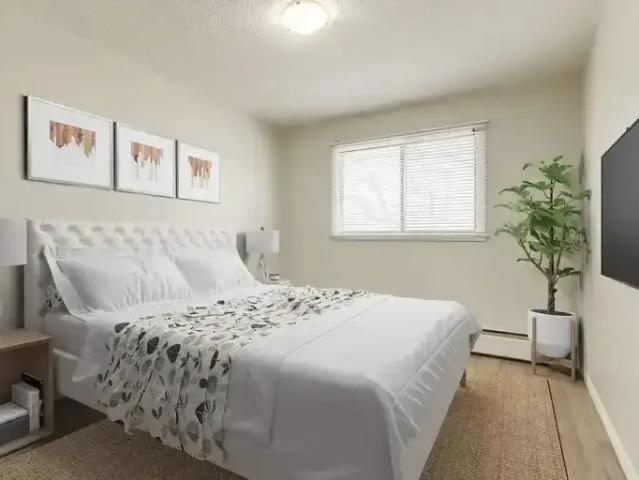 Apartment 1 Bedroom For Rent Edmonton AB 1234 ES105166275