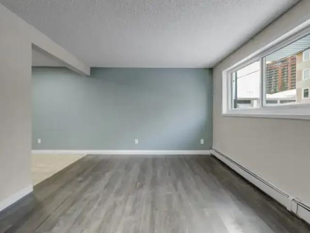 Apartment 1 Bedroom For Rent Edmonton AB 1250 ELS98631428